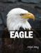 Eagle: A Coffee Table Photo Book for Animal Lovers