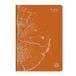 Clairefontaine 684665C schrijfblok & schrift 96 vel