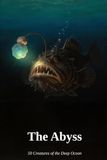 The Abyss: 50 Creatures of the Deep Ocean