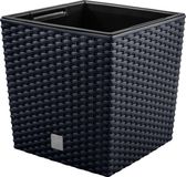 Prosperplast Rato Low Pot avec insert - Anthracite - 3 litres