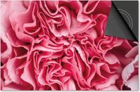 Dietrix Inductie Beschermer - 81x52cm - Flowers 9