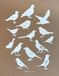 Carnet Zoé de Las Cases Carnet A4 Oiseaux