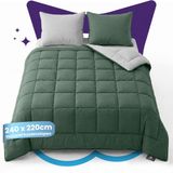Slaapspeciaal Candas Import Export Eazydekbed Supersoft Groen/Grijs 240x220 cm