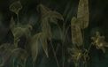 Komar Fotobehang - Darkest Green 400x250cm - Vliesbehang