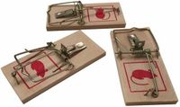Merkloos / Sans marque CMP Muizenval - 3 stuks - hout/metaal