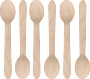 Depa BBQ/verjaardag/camping bestek - lepels - 60x - hout - 16 cm - eco friendly/composteerbaar - wegwerp