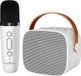 Maxlife MXKS-100 Bluetooth Karaoke Set