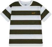 Levi's Kids Big Stripe T-shirt Met Korte Mouwen Groen 5 Years Jongen