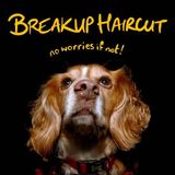 Konkurrent Breakup Haircut - No Worries If Not (CD)