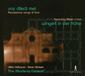 Pan Classics Renaissance Love Songs - Vox Dilecti Mei / Wingert In Der Frühe (CD)