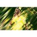 Football Papier Peint Panoramique - Joueur De Foot - 325 cm x 203 cm