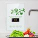 Générateur d'ozone 600mg/h pour fruits et légumes