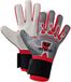 Erima Unisex-Volwassene Flex-Ray Robusto 2.0 keeperhandschoen (7222403), grijs/rood, 9