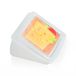 Metaltex Beschermhoes voor kaas, 12 x 12 x 5 cm