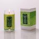 Lumen Green Tea Geurkaars in glas, lange brandduur, Made in Italy, 300 ml