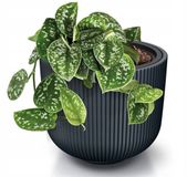 Prosperplast Milly Antraciet Bloempot met Inzet - 25,7 cm Hoog - Geribbeld