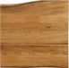 vidaXL Tafelblad met natuurlijke rand 60x60x3,8 cm massief mangohout