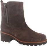 Gabor - Femme - Bottine - Marron - Daim