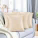 Nestl Set van 4 fluwelen kussenslopen, comfortabele sierkussenhoezen, voor buiten, bank, bed, auto, 45 x 45 cm, crèmebeige