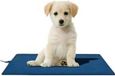 AccuLux Mat4Pet 464365 Warmtemat (l x b) 500 mm x 300 mm Blauw