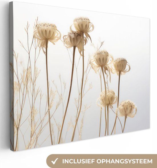 OneMillionCanvasses Canvas Schilderij 160x120 cm - Droogbloemen - Natuur - Botanisch - Muurdecoratie