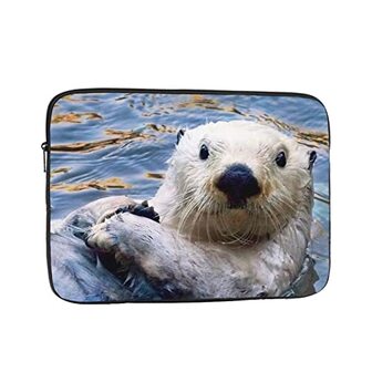 DIRYKILP / Sea Otter / 8489742176426