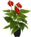 Kunstmatige Icecat Kunstmatige Anthurium plant in pot met rode bloemen