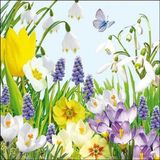Ambiente - Lunch servetten - Spring Time