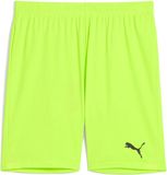 Puma Teamgoal Shorts Heren XXL Green Glare-Puma Black