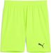 Puma Teamgoal Shorts Heren XXL Green Glare-Puma Black