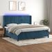 Maison Exclusive - Lit boxspring avec matelas et éclairage LED, bleu foncé, 200x200 cm, velours