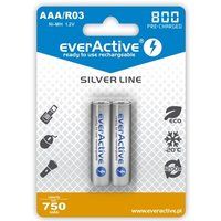 Everactive Pack de 2 batteries Téléphone fixe compatible avec SIEMENS GIGA