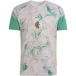 ADIDAS PERFORMANCE Tricot 'Algerien 26 Pre-Match' beige / ecru / groen