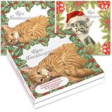 Franciens Katten kerstkaartenmapje - Hulst - Denneboom