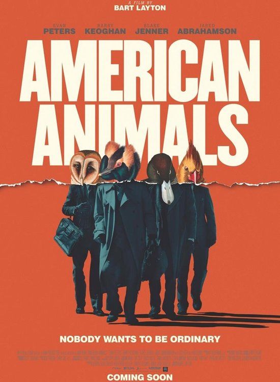 Remain in Light American Animals (DVD)