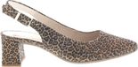 Gabor Dames Pumps 62.260.80 Brons