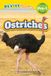 Ostriches: Revive Readers Grassland Animals, Level Pre-1 - Ostriches