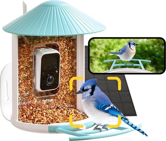 Birdfy Feeder with Solar Panel - Rechargeable Birdhouse Camera - AI Bird Recognition - Light Blue