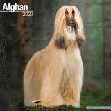 Avonside Publishing Afghan 2027 Calendar | Square Wall Calendar | Dog Breed Gift | Plastic Free Packaging