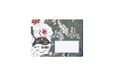 Clairefontaine 55030C - Pakket van 20 Bedrukte Geplakte 11,4x16,2cm 120g