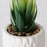 Boltze Home Kunstplant vetplant in pot wit H15cm