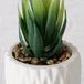 Boltze Home Kunstplant vetplant in pot wit H15cm