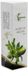 Botanicum Aceite Argan 30ml