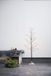 Star Trading Moderne Kerstboom "Tobby" - 120cm