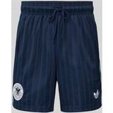 ADIDAS PERFORMANCE Sportbroek 'DFB' navy / lichtblauw / wit