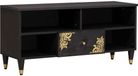 vidaXL TV-kast met lade zwart 100 x 33 x 46 cm massief mangohout
