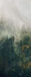 Komar Fotobehang - Tales of the Carpathians 100x250cm - Vliesbehang