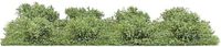Busch-Jaeger Busch 3603 Heester Nazomer 20 mm