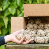 CJ Wildlife 50st Vetbollen voor Vogels - Aanbevolen door Vogelbescherming Nederland - Mezenbollen zonder Net - 80 gram per bol - Vogelvoer Buitenvogels - Energierijk Tuinvogelvoer