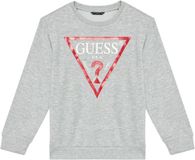 Guess Junior Sweatshirt Grijs Katoen Ronde Hals Lange Mouw Logo Regular Fit